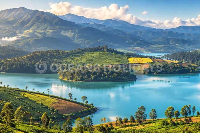 4N/5D Masinagudi & Emerald Lake Tour