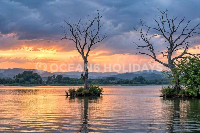 5N/6D Masinagudi, Kotagiri & Emerald Lake Tour