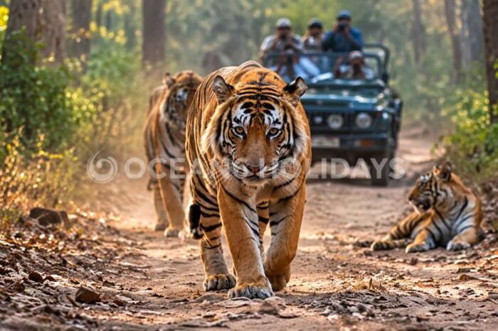6N/7D Pilibhit & Dudhwa Wildlife Tour