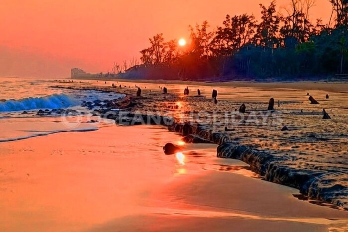 3N/4D Bhitarkanika & Habalikhati Tour