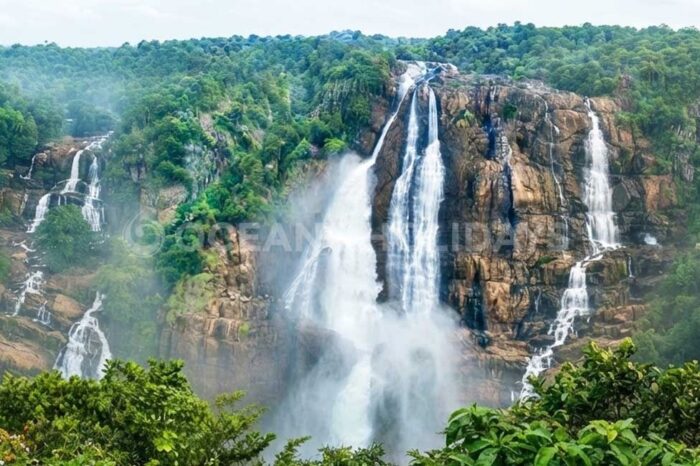 3N/4D Similipal Wildlife Tour