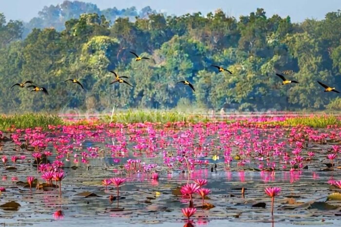 4N/5D Chandipur & Kuldiha Tour